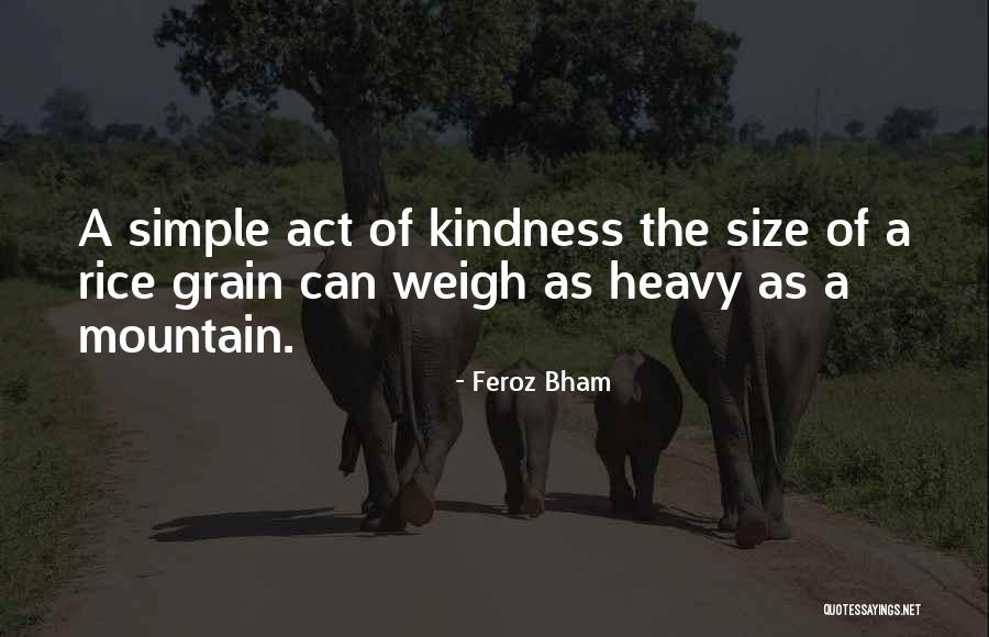 Deprogramming Republicans Quotes By Feroz Bham Deprogramming Republicans Quotes By Feroz Bham