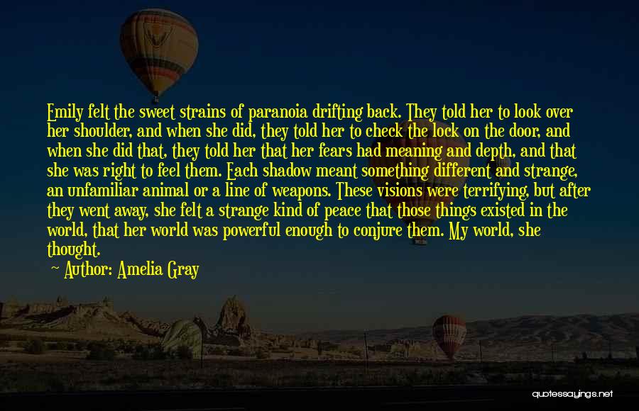 Depth Meaning Quotes By Amelia Gray