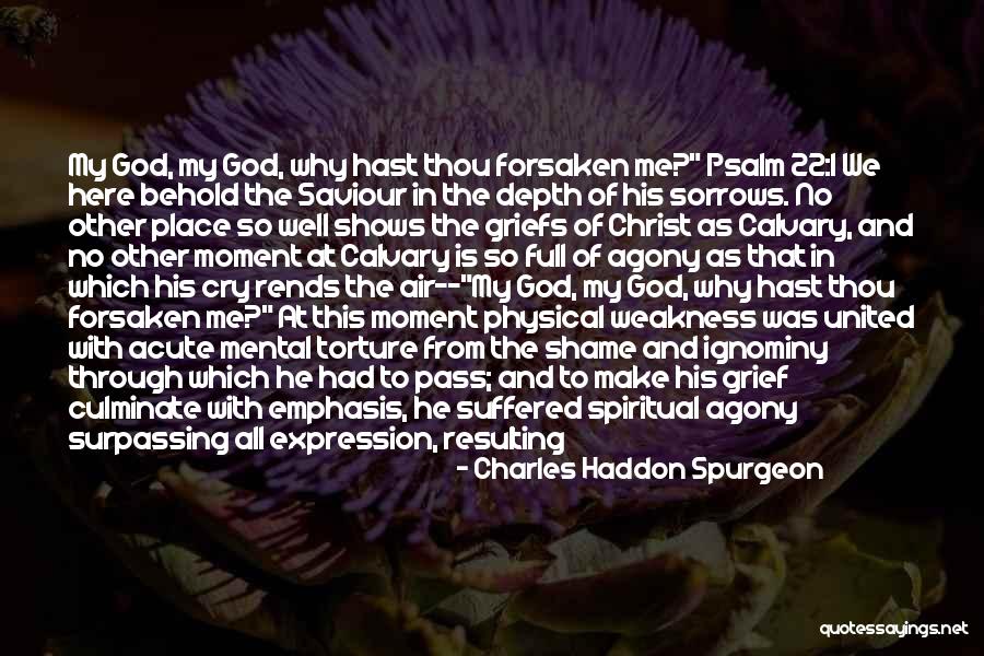 Depth Meaning Quotes By Charles Haddon Spurgeon