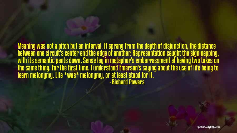 Depth Meaning Quotes By Richard Powers