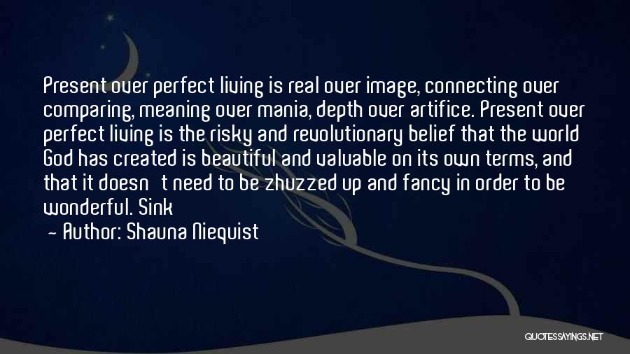 Depth Meaning Quotes By Shauna Niequist
