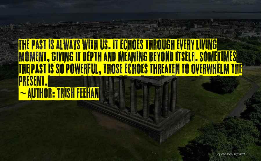 Depth Meaning Quotes By Trish Feehan