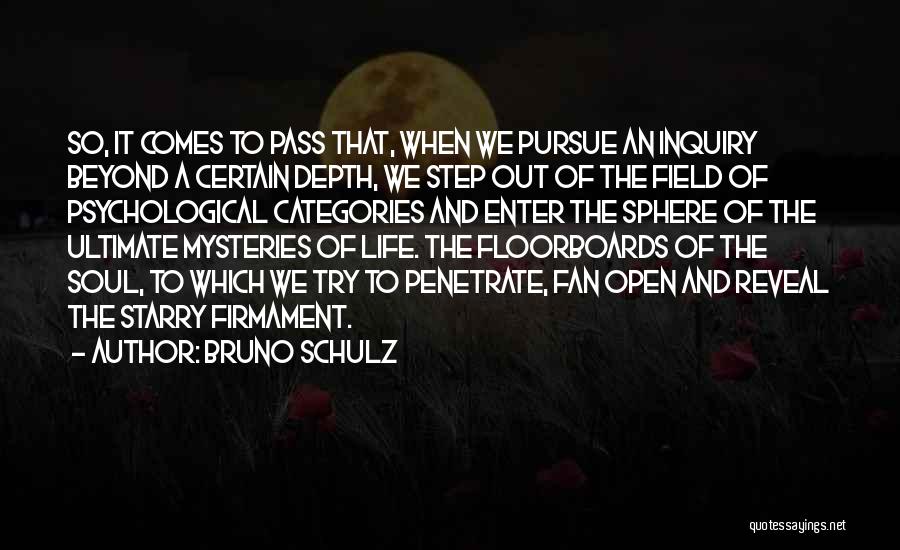 Depth Of Field Quotes By Bruno Schulz