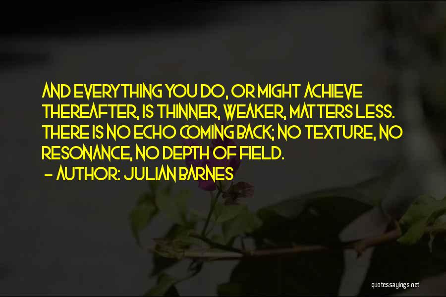 Depth Of Field Quotes By Julian Barnes