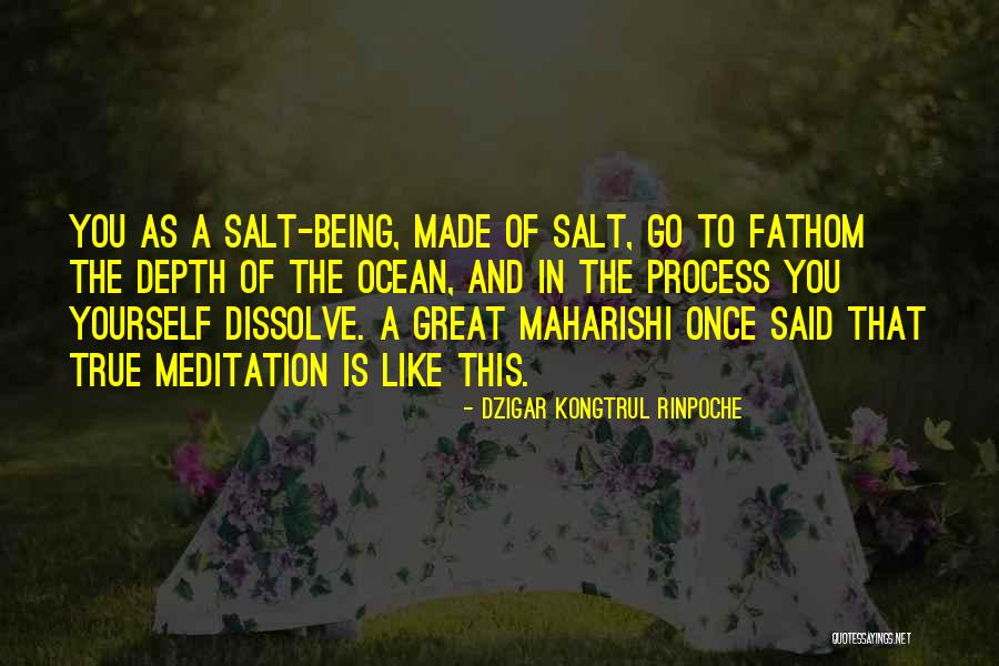 Depth Of The Ocean Quotes By Dzigar Kongtrul Rinpoche Depth Of The Ocean Quotes By Dzigar Kongtrul Rinpoche