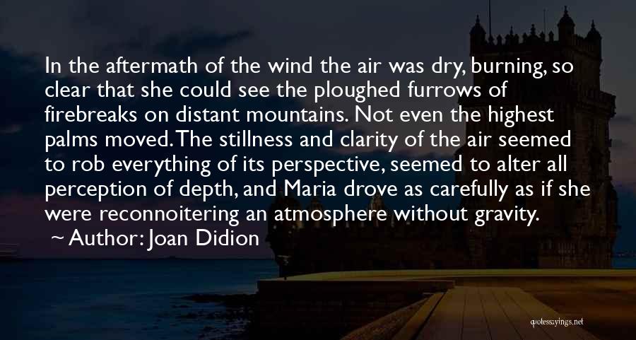 Depth Perception Quotes By Joan Didion