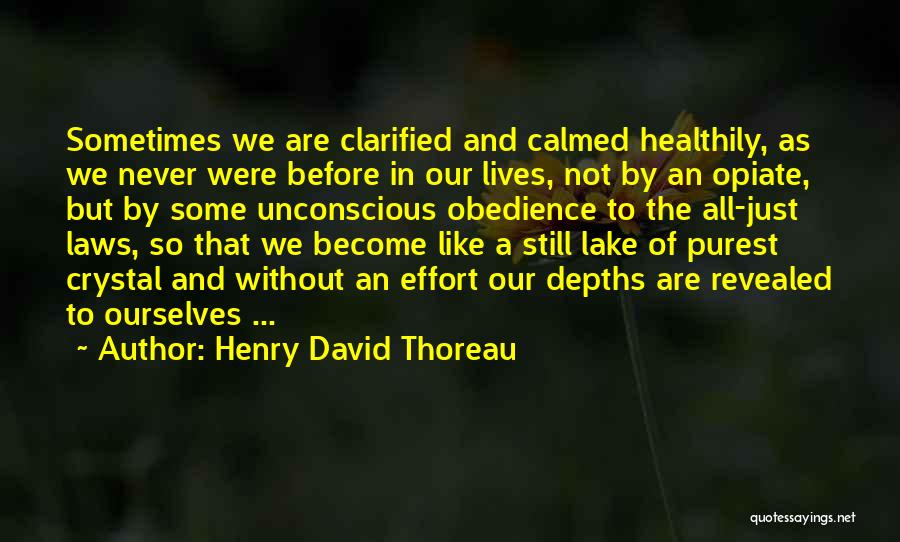 Depths Of Life Quotes By Henry David Thoreau