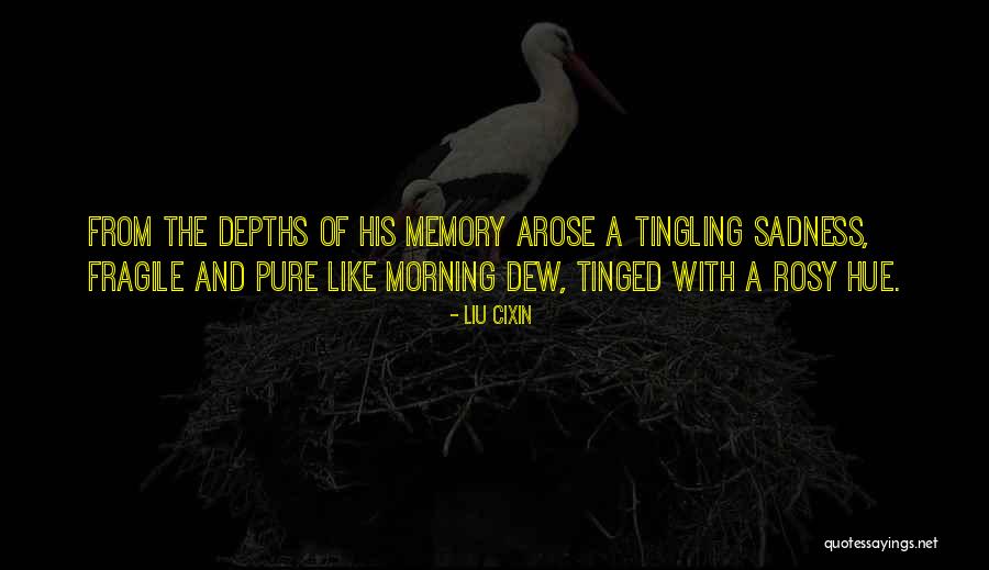 Depths Of Sadness Quotes By Liu Cixin Depths Of Sadness Quotes By Liu Cixin