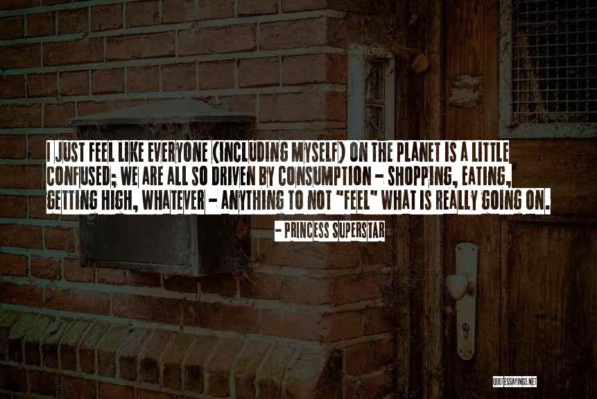 Deputized Synonyms Quotes By Princess Superstar