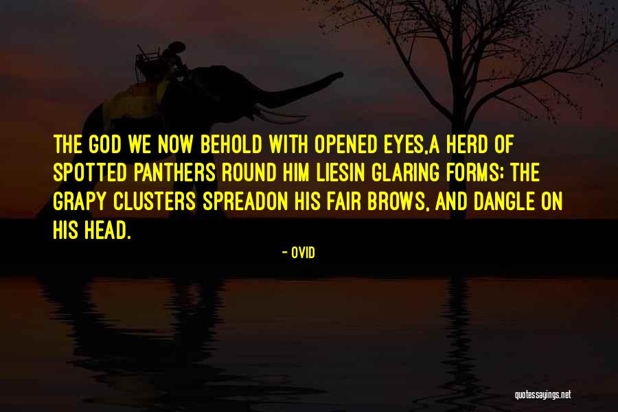 Der Nederlanden Coin Quotes By Ovid Der Nederlanden Coin Quotes By Ovid