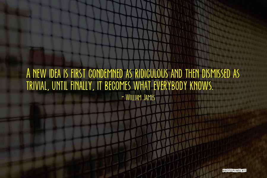Deraball Quotes By William James Deraball Quotes By William James