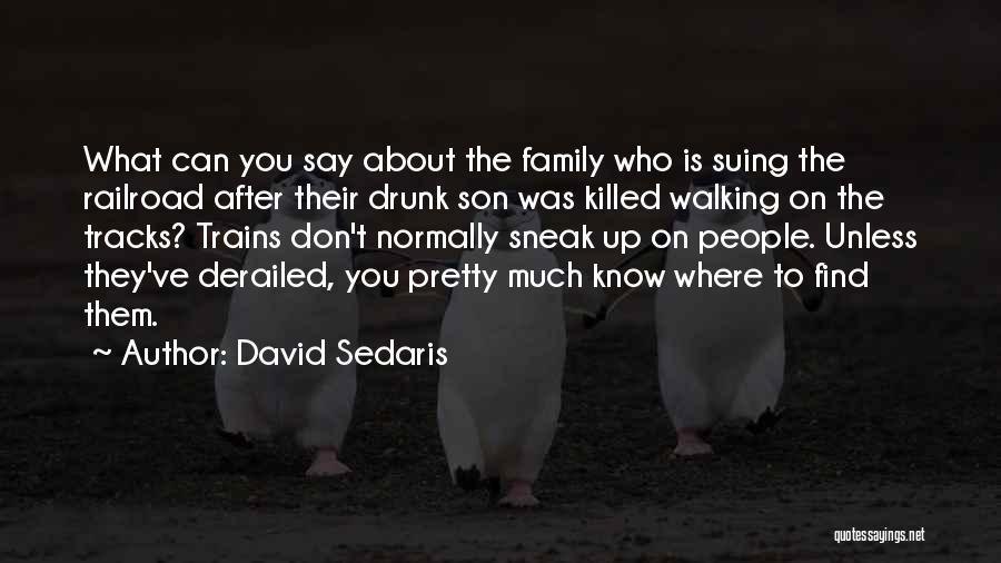 Derailed Quotes By David Sedaris