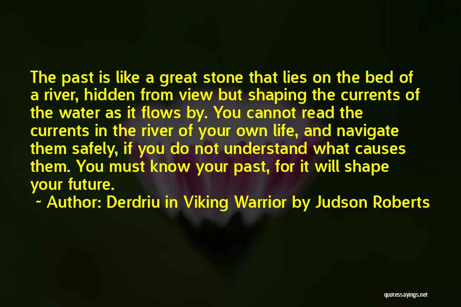 Derdriu In Viking Warrior By Judson Roberts Quotes 1494887