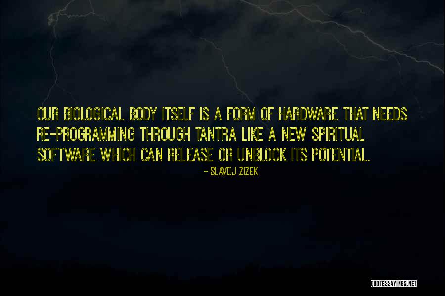 Derek Brockway Quotes By Slavoj Zizek Derek Brockway Quotes By Slavoj Zizek