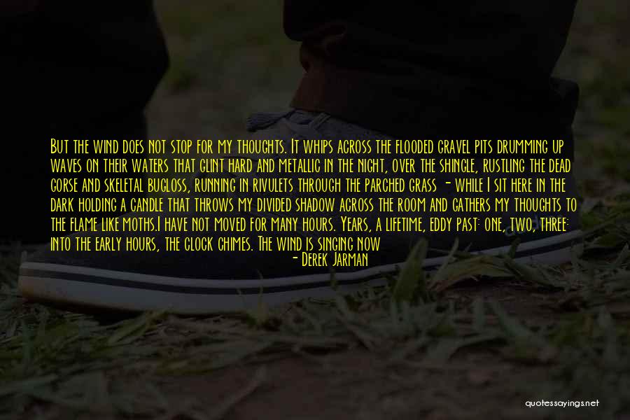Derek Jarman Quotes 109597 Derek Jarman Quotes 109597