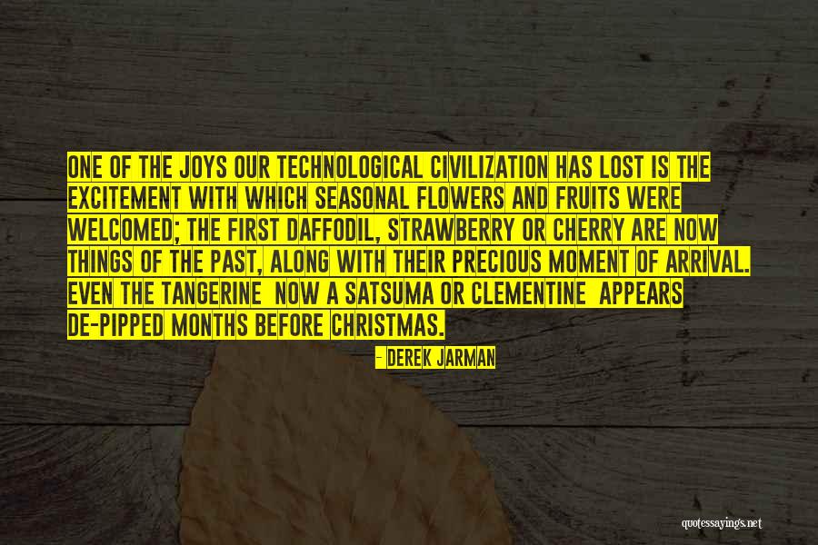 Derek Jarman Quotes 163573 Derek Jarman Quotes 163573