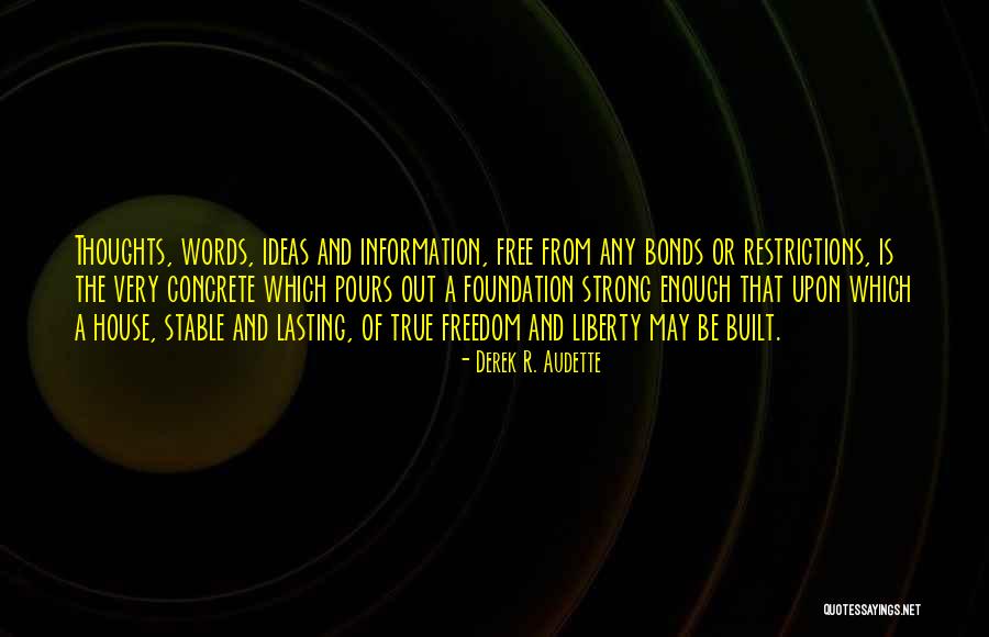 Derek R. Audette Quotes 1315296 Derek R. Audette Quotes 1315296