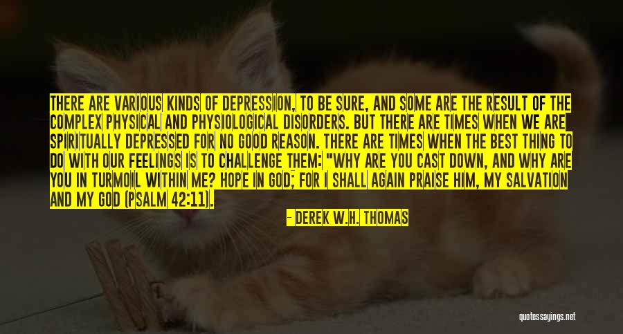 Derek W.H. Thomas Quotes 523492 Derek W.H. Thomas Quotes 523492