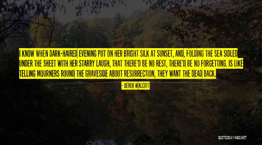 Derek Walcott Quotes 1095351 Derek Walcott Quotes 1095351