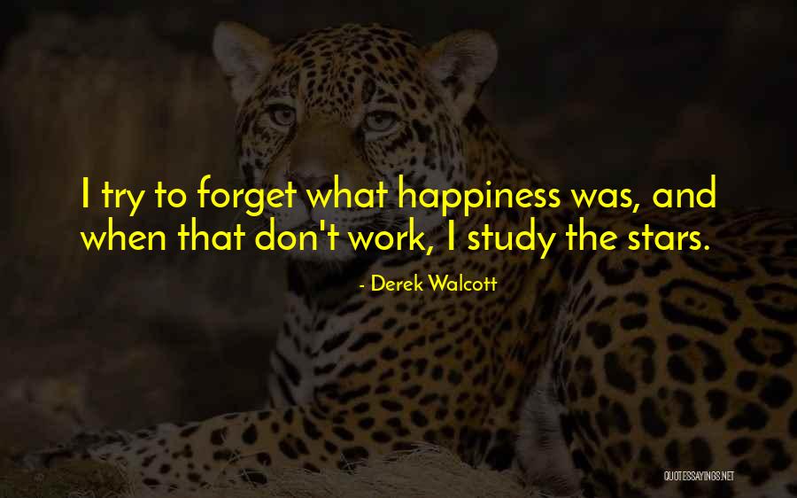 Derek Walcott Quotes 1566257 Derek Walcott Quotes 1566257