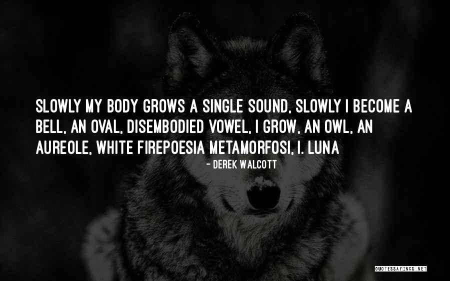 Derek Walcott Quotes 791194 Derek Walcott Quotes 791194