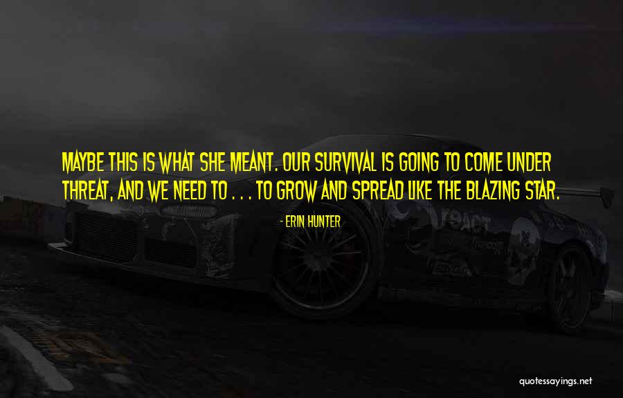 Derichebourg Canada Quotes By Erin Hunter Derichebourg Canada Quotes By Erin Hunter