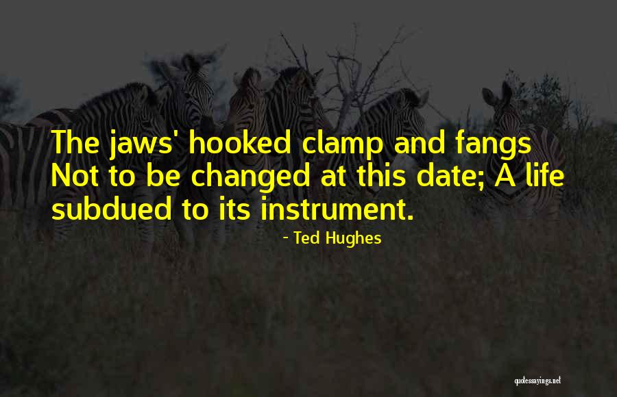 Derielle Quotes By Ted Hughes Derielle Quotes By Ted Hughes