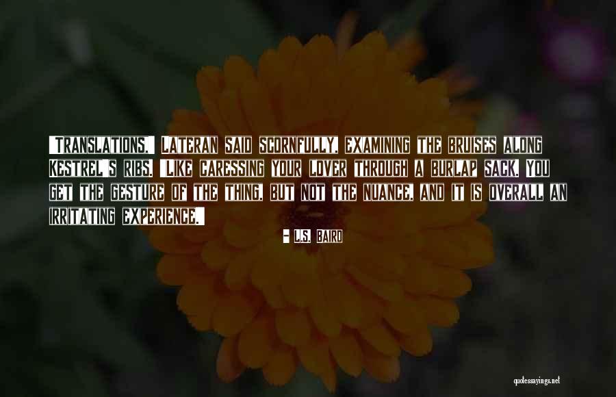 Derision In A Sentence Quotes By L.S. Baird Derision In A Sentence Quotes By L.S. Baird