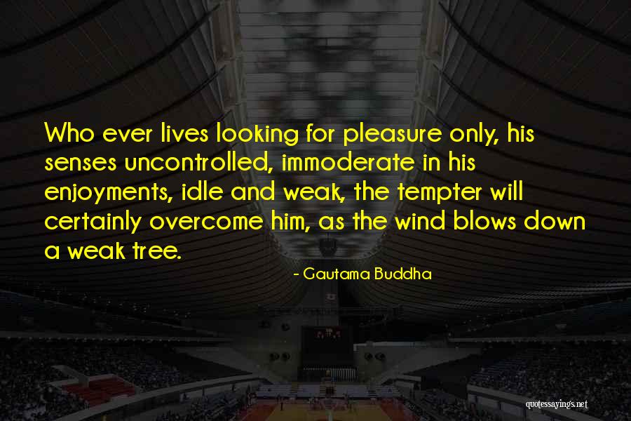 Derisseau Quotes By Gautama Buddha Derisseau Quotes By Gautama Buddha