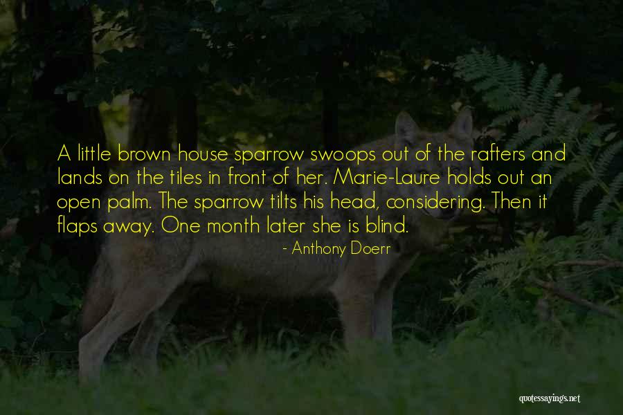 Derived Trait Quotes By Anthony Doerr Derived Trait Quotes By Anthony Doerr