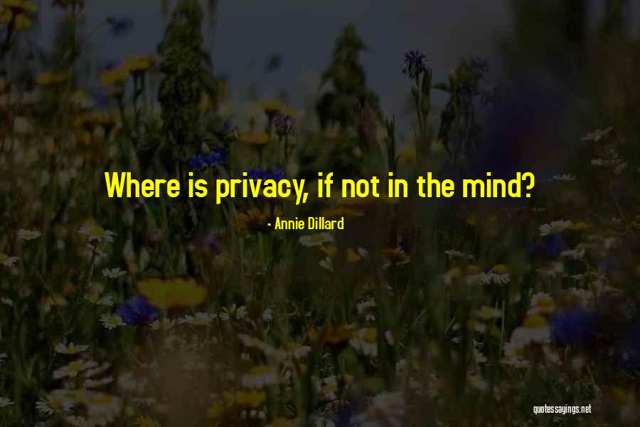 Deroche Storm Quotes By Annie Dillard Deroche Storm Quotes By Annie Dillard