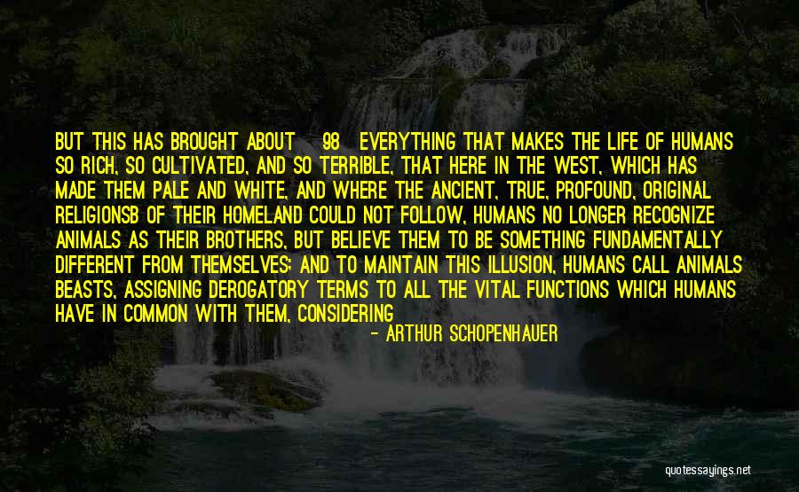 Derogatory Quotes By Arthur Schopenhauer Derogatory Quotes By Arthur Schopenhauer