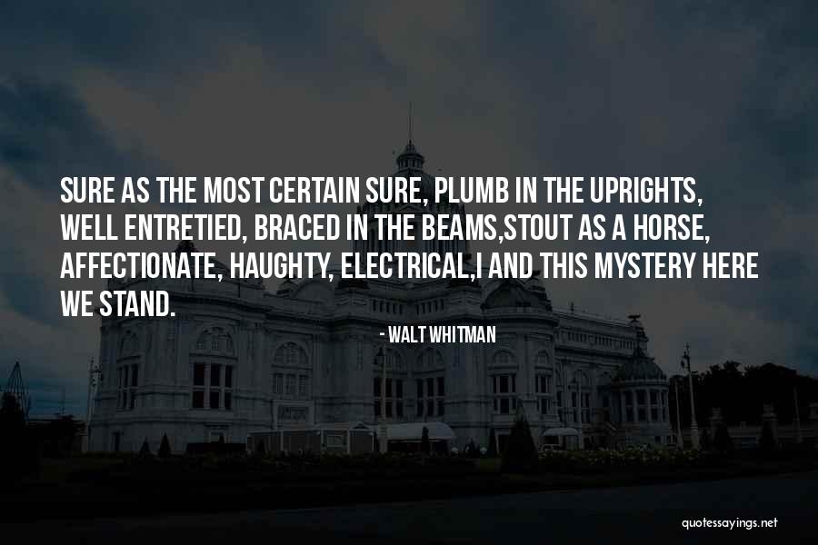 Derosa Sales Quotes By Walt Whitman Derosa Sales Quotes By Walt Whitman