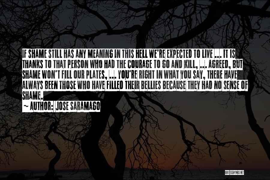 Derouging Quotes By Jose Saramago