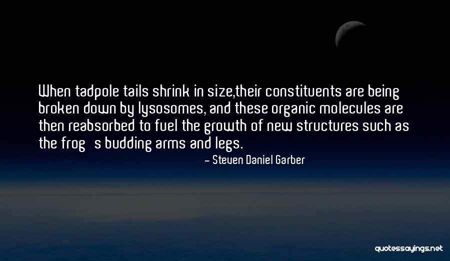 Deroyal Knee Quotes By Steven Daniel Garber Deroyal Knee Quotes By Steven Daniel Garber