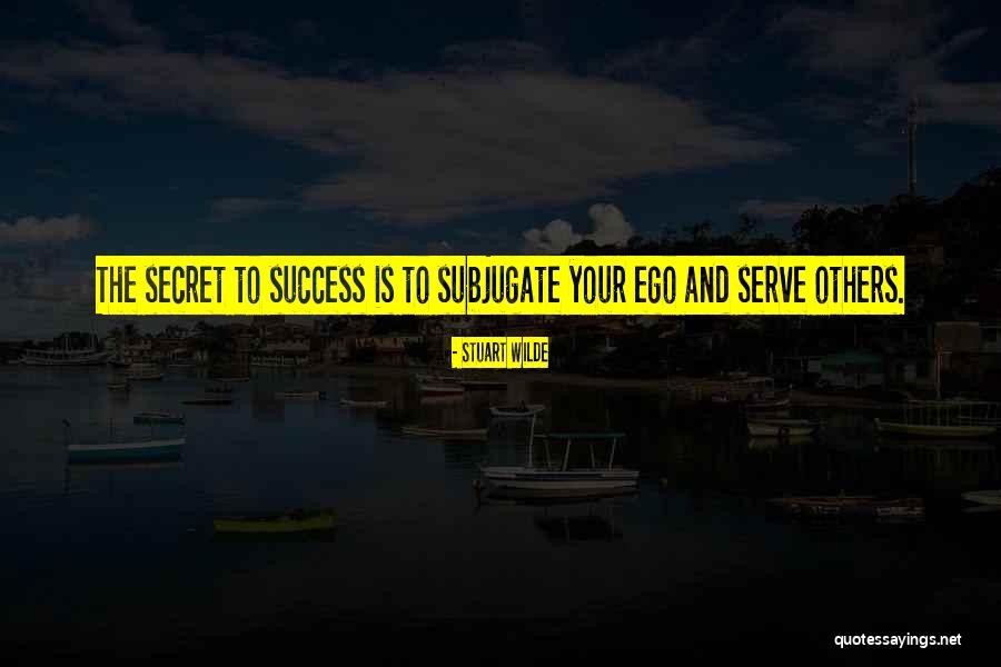 Derreur Quotes By Stuart Wilde