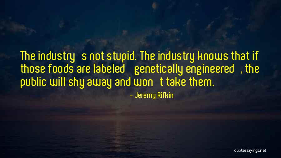 Derrian Ford Quotes By Jeremy Rifkin Derrian Ford Quotes By Jeremy Rifkin