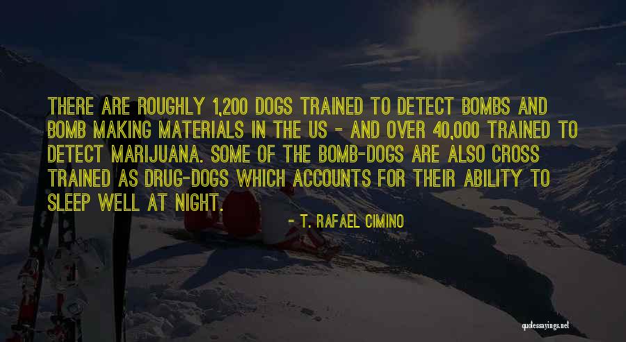 Derribado Quotes By T. Rafael Cimino