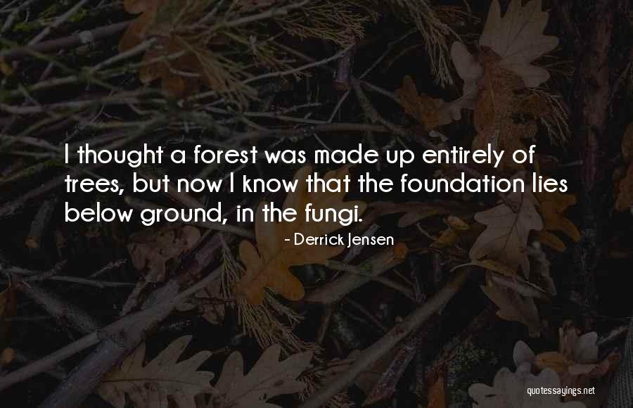 Derrick Jensen Quotes 1498180