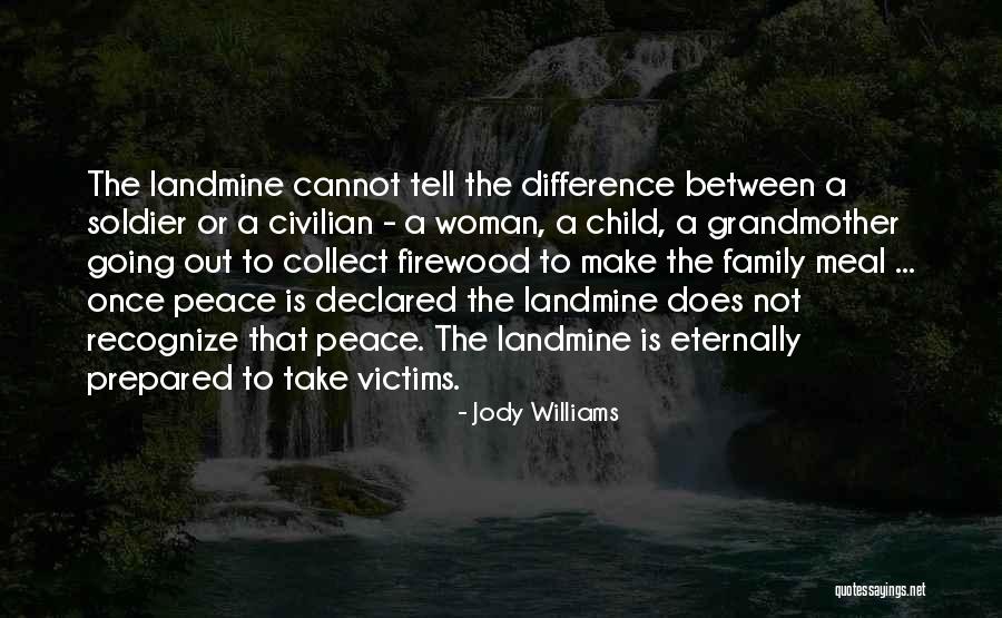 Derron Spiller Quotes By Jody Williams Derron Spiller Quotes By Jody Williams