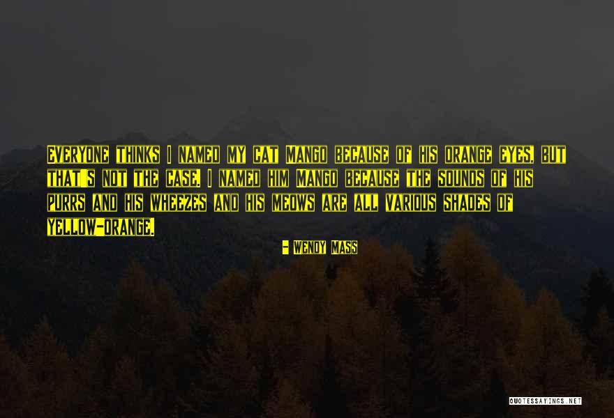 Derrotero De Valverde Quotes By Wendy Mass Derrotero De Valverde Quotes By Wendy Mass