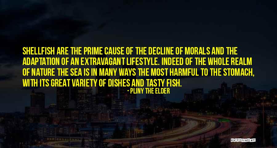 Derry Murbles Quotes By Pliny The Elder Derry Murbles Quotes By Pliny The Elder