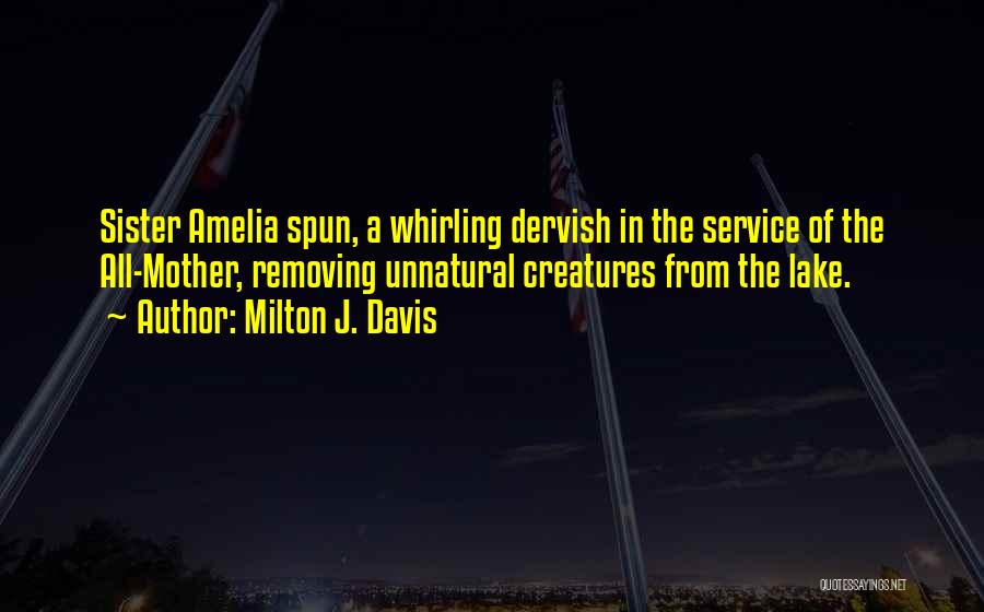 Dervish Quotes By Milton J. Davis