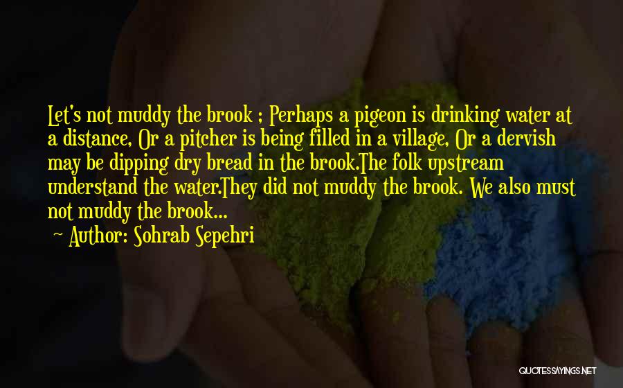 Dervish Quotes By Sohrab Sepehri