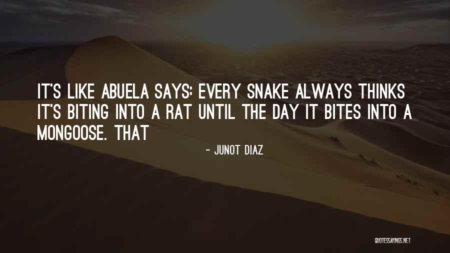 Dervishes Dance Quotes By Junot Diaz Dervishes Dance Quotes By Junot Diaz