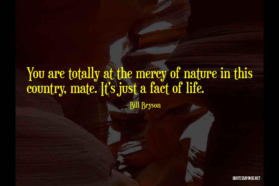 Derwin James Quotes By Bill Bryson Derwin James Quotes By Bill Bryson