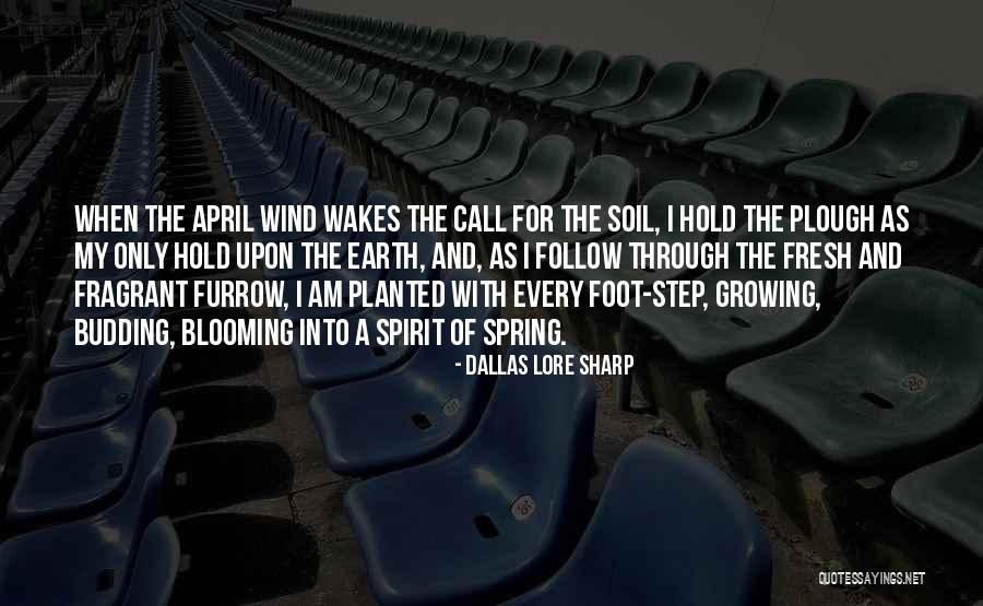 Derya Ruggles Quotes By Dallas Lore Sharp Derya Ruggles Quotes By Dallas Lore Sharp