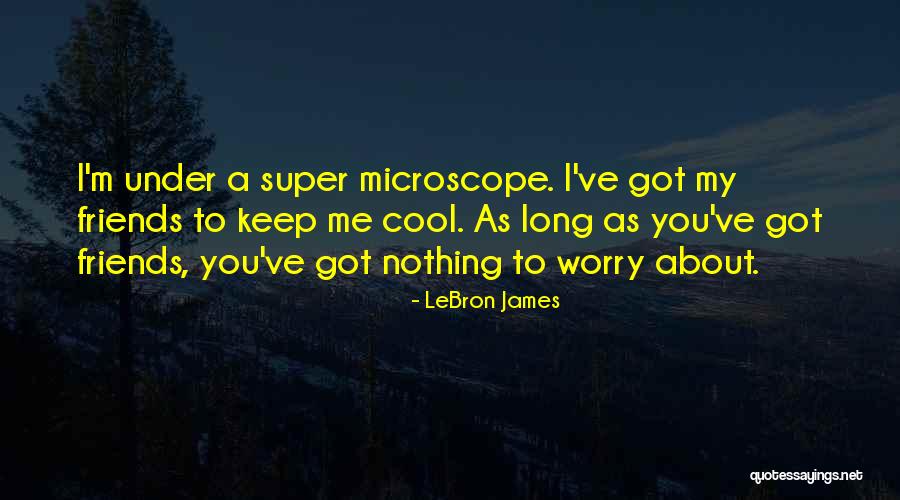 Des Yeux Dessin Quotes By LeBron James Des Yeux Dessin Quotes By LeBron James