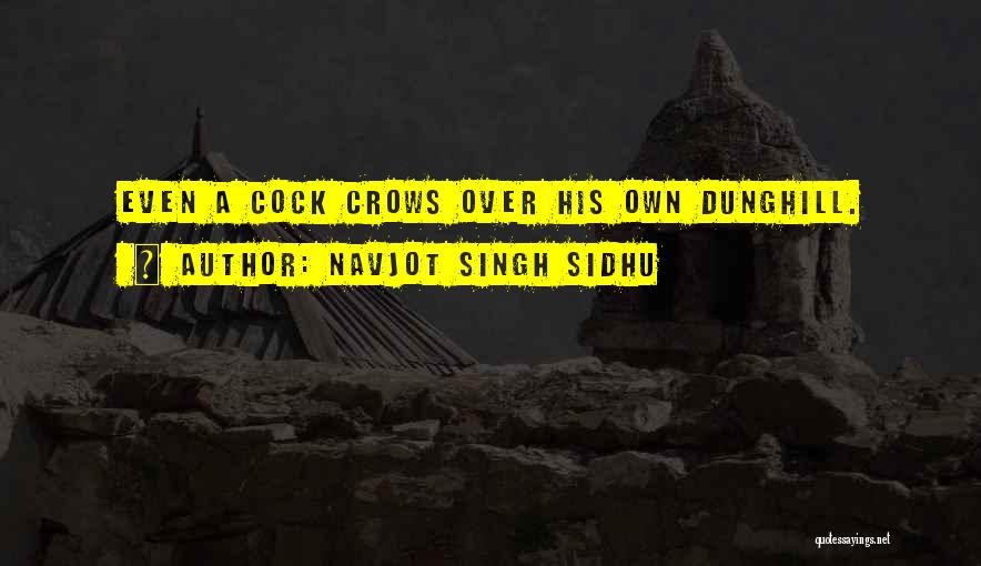 Desacordo Sinonimo Quotes By Navjot Singh Sidhu