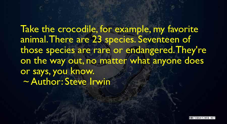 Desacordo Sinonimo Quotes By Steve Irwin